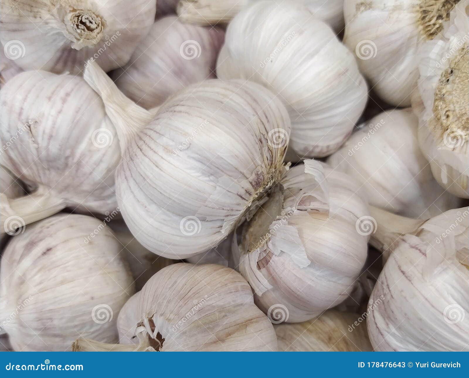 Ajo blanco - Imagen 2