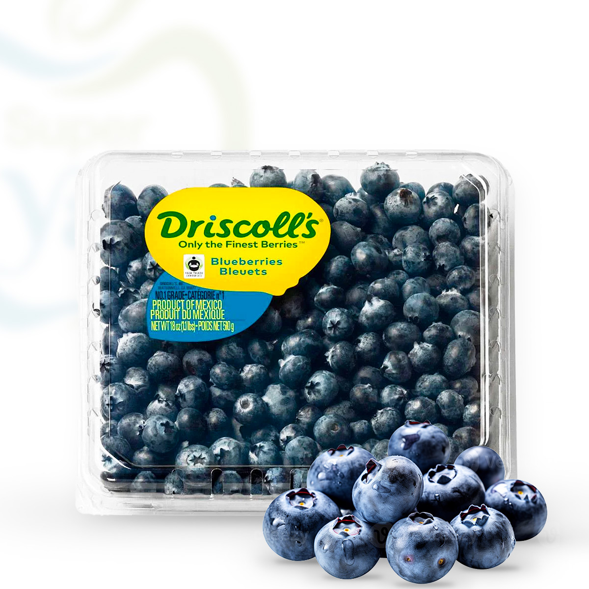 Blueberry