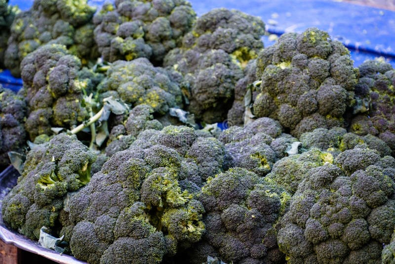 Brócoli - Imagen 2