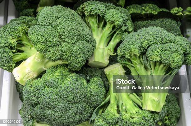 Brócoli