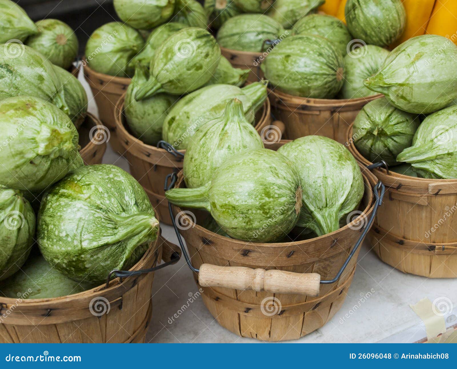 Calabacita italiana - Imagen 2