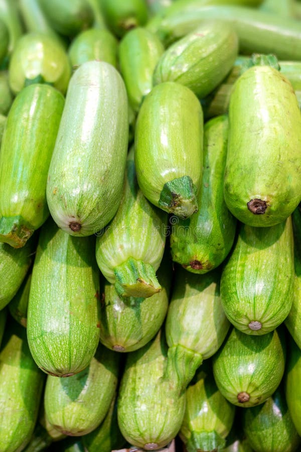 Calabaza baby verde - Imagen 2