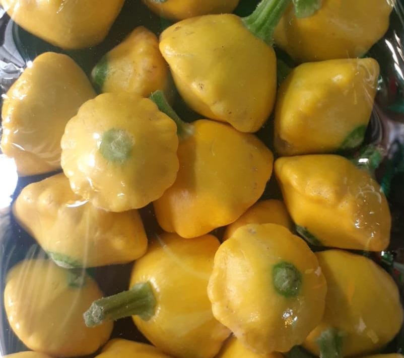 Calabaza estrella amarilla