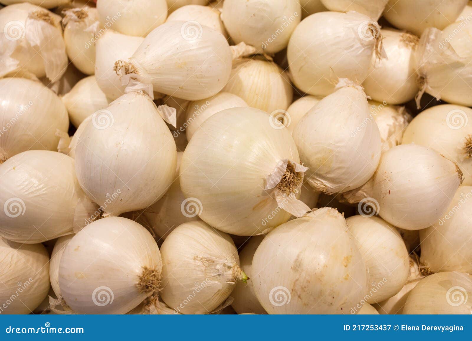Cebolla blanca - Imagen 2