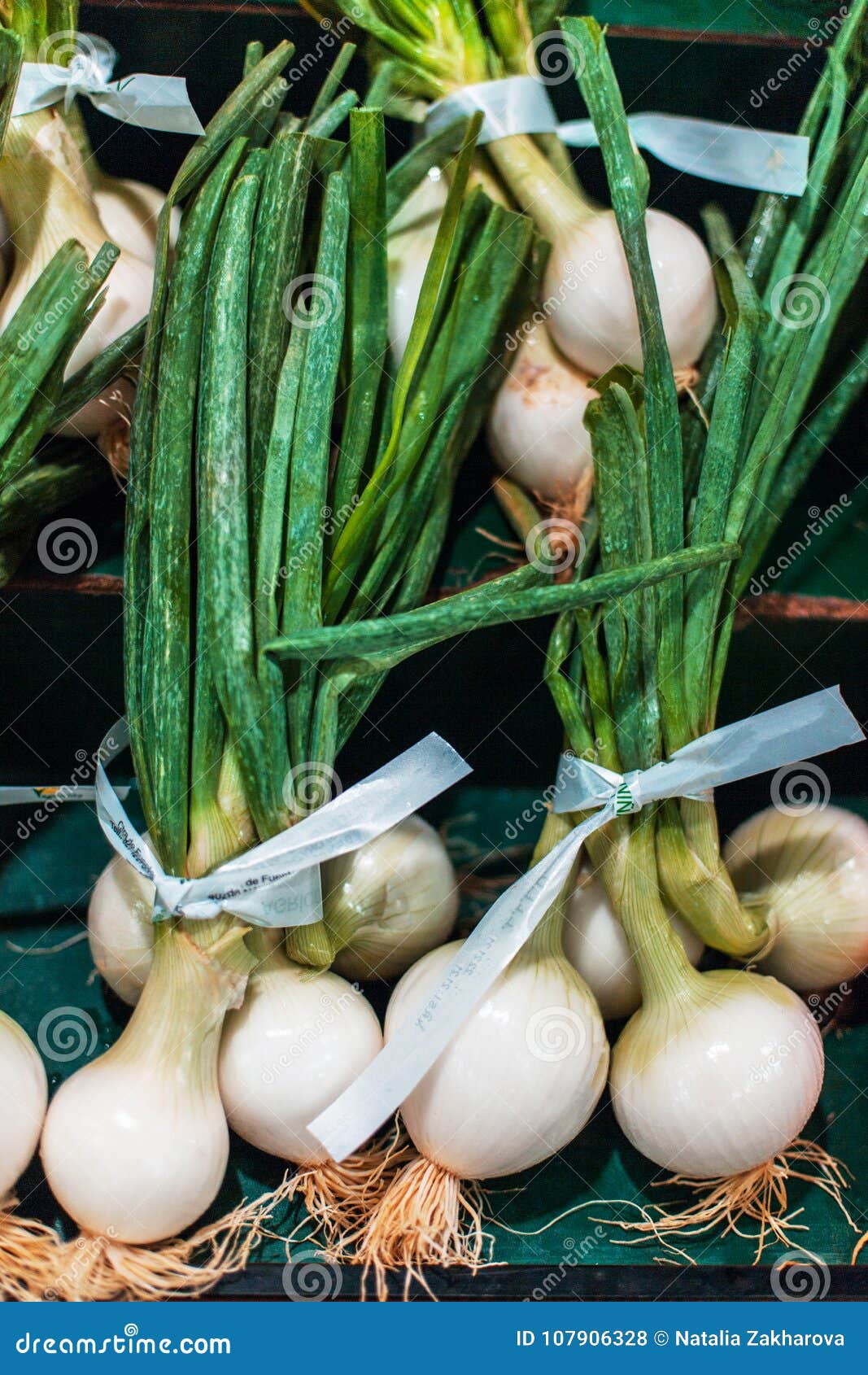 Cebolla blanca
