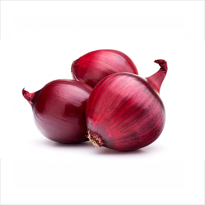 Cebolla morada - Imagen 2
