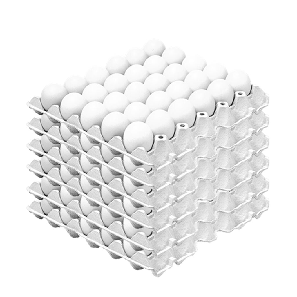Huevo caja 23 kg